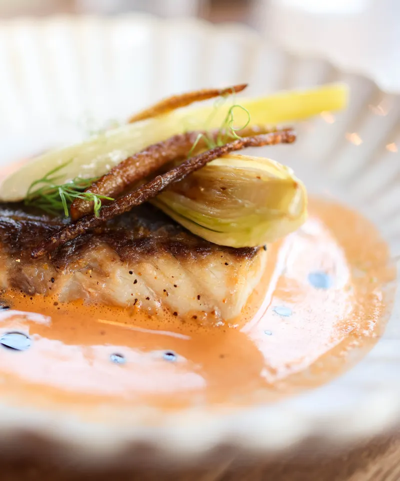 Roast hake on a white scalloped plate, with fennel and a coral-coloured shellfish sauce.
