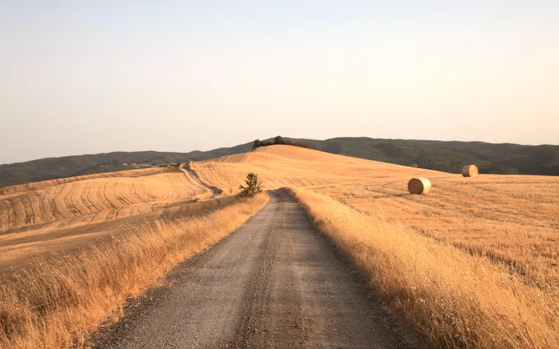 A dusty road climbing between golden, harvested hills.